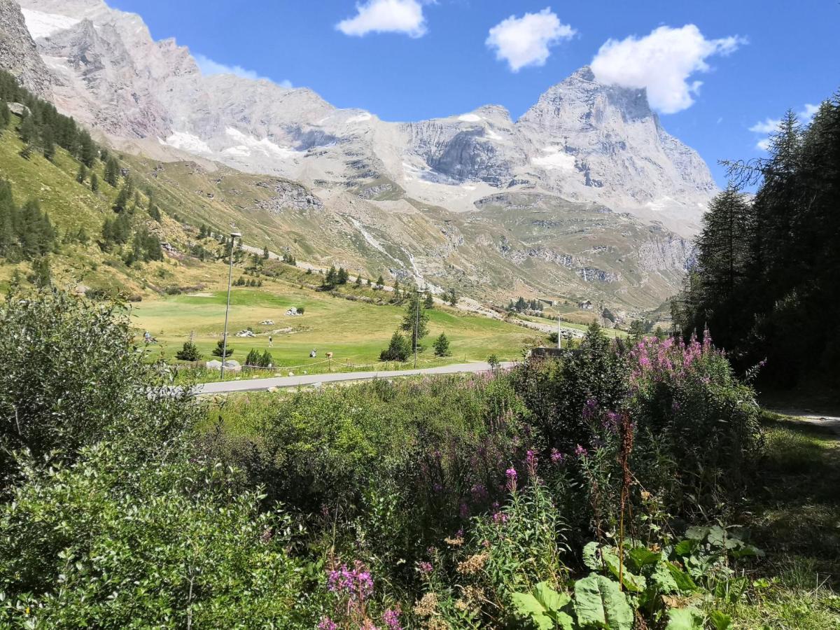 Апартаменти Le Petit Refuge Cervinia Брей-Червінія Екстер'єр фото